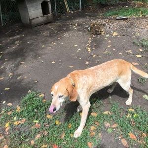 Meet your Posher, Harold